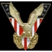 USA UNITED STATES VICTORY EAGLE DX PIN